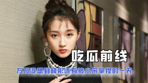 吃瓜娱乐圈类小说